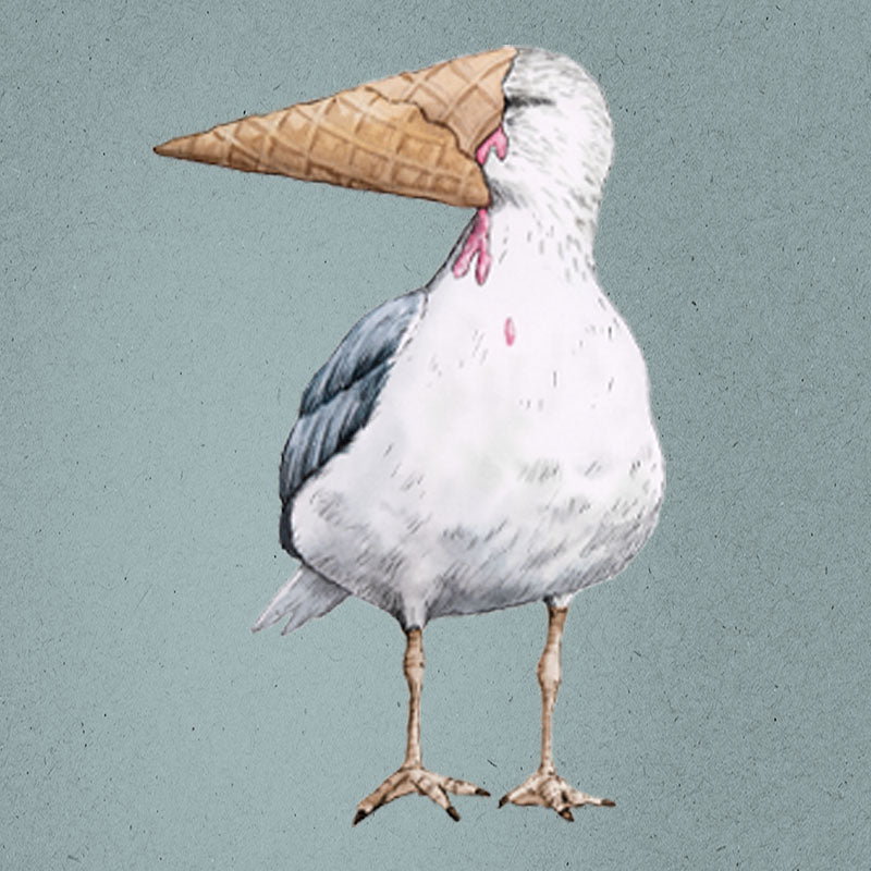 Eisvogel