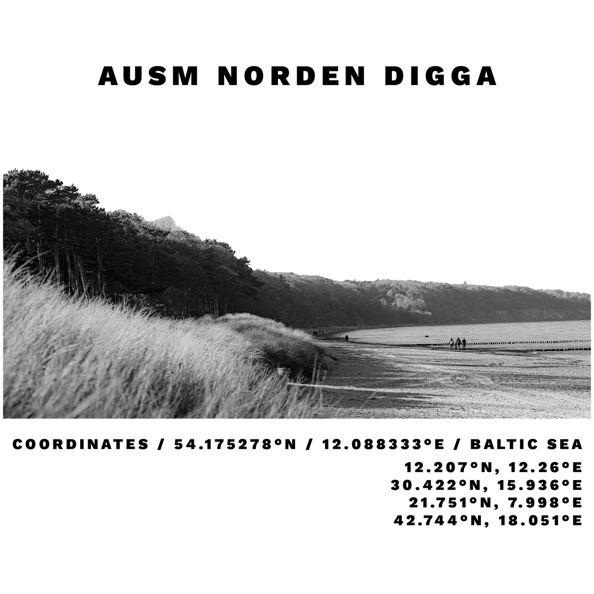 Ausm Norden Digga - Herren Shirt | 100% Bio-Baumwolle