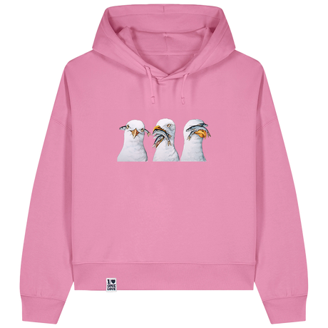 Möwen – Damen Hoodie | Bio-Baumwolle