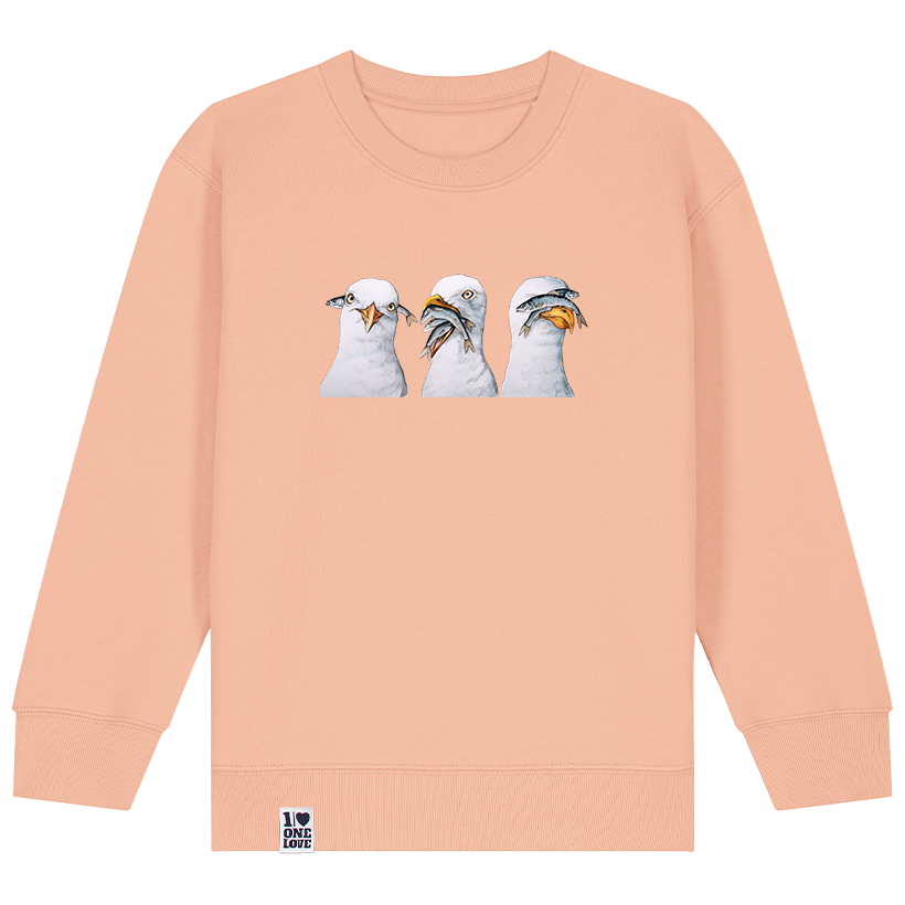 Küstenabenteuer – Möwen-Sweater für Kids
