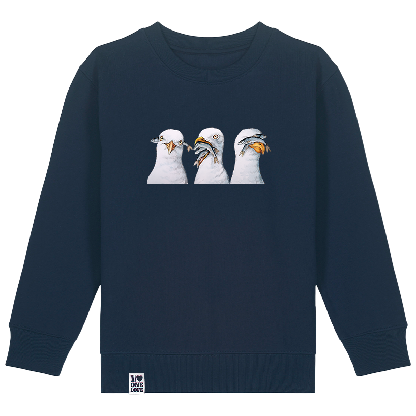 Küstenabenteuer – Möwen-Sweater für Kids
