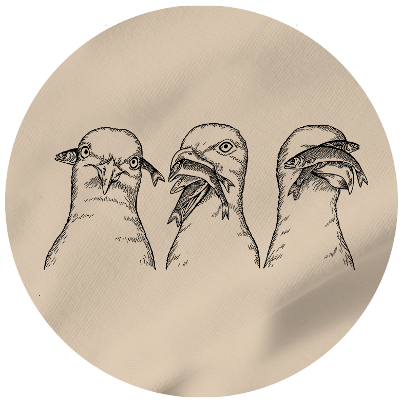 Gelassenheit im Möwenflüstern – Hoodie