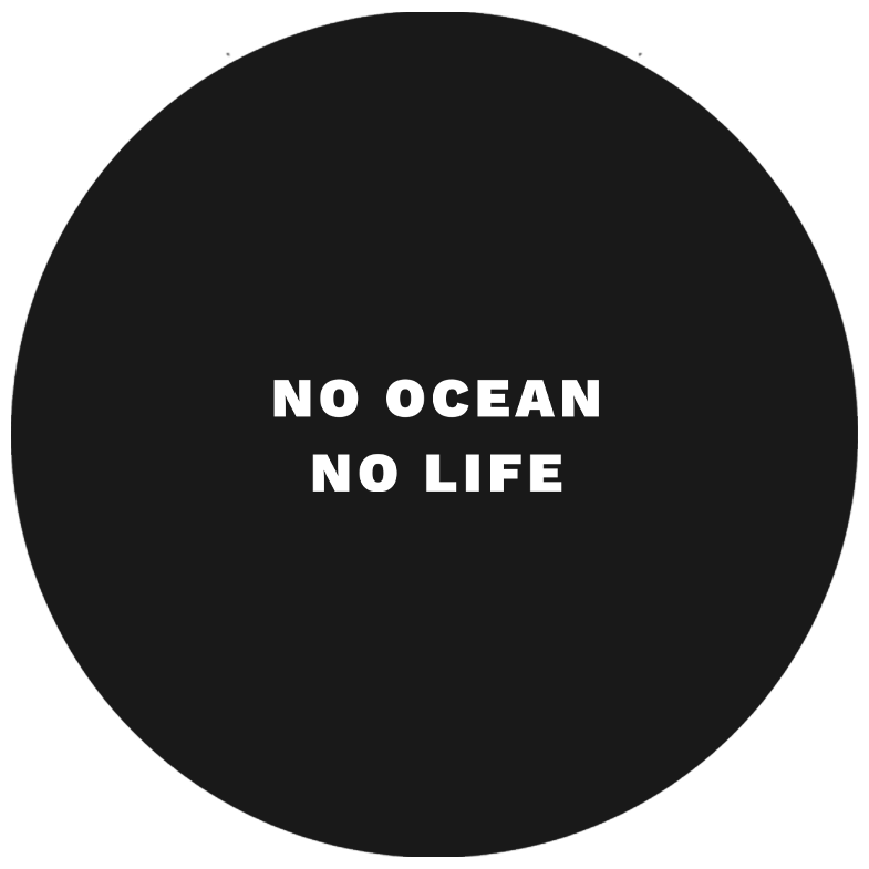 No Ocean No Life Hoodie - Trage das Meer