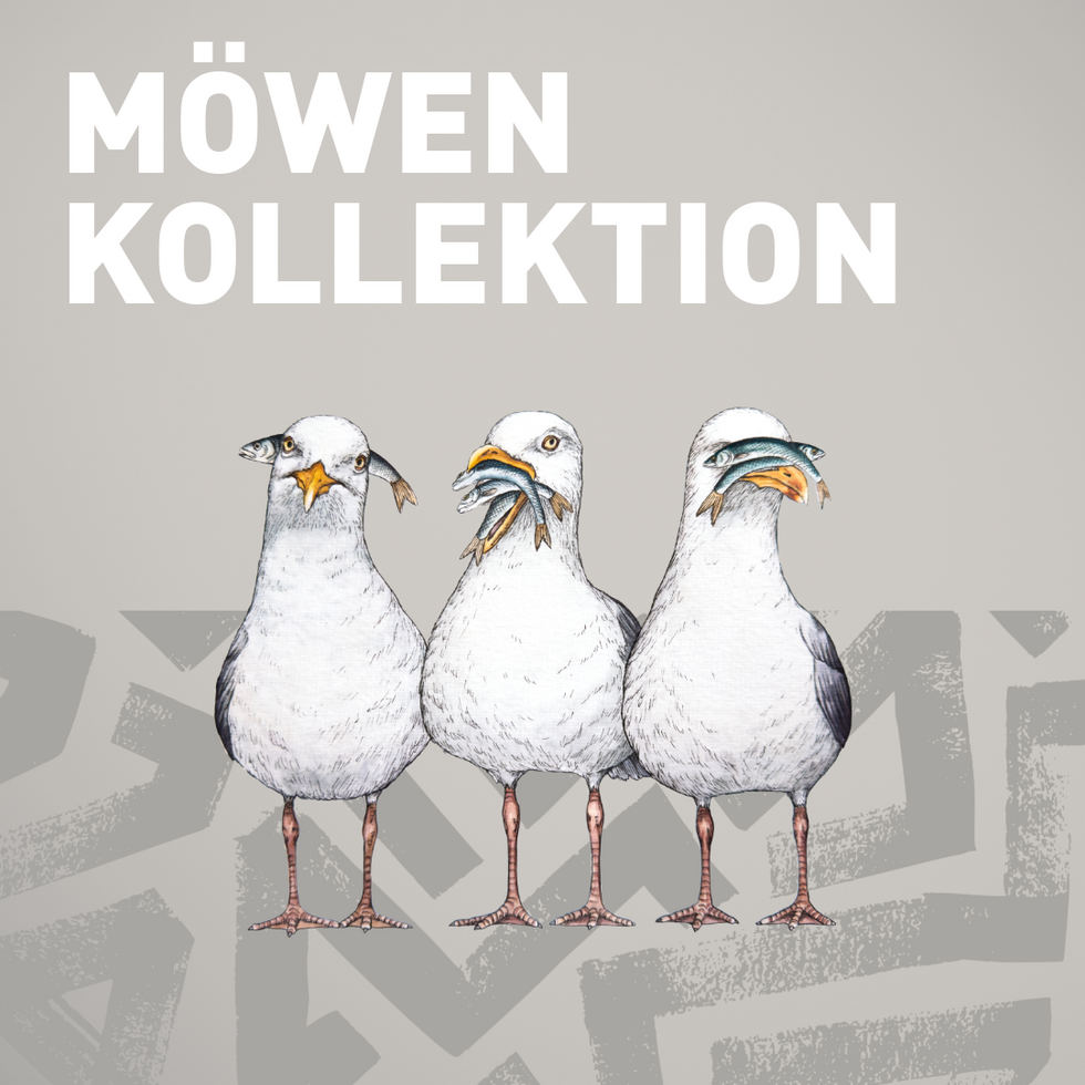 Möwen-Kollektion