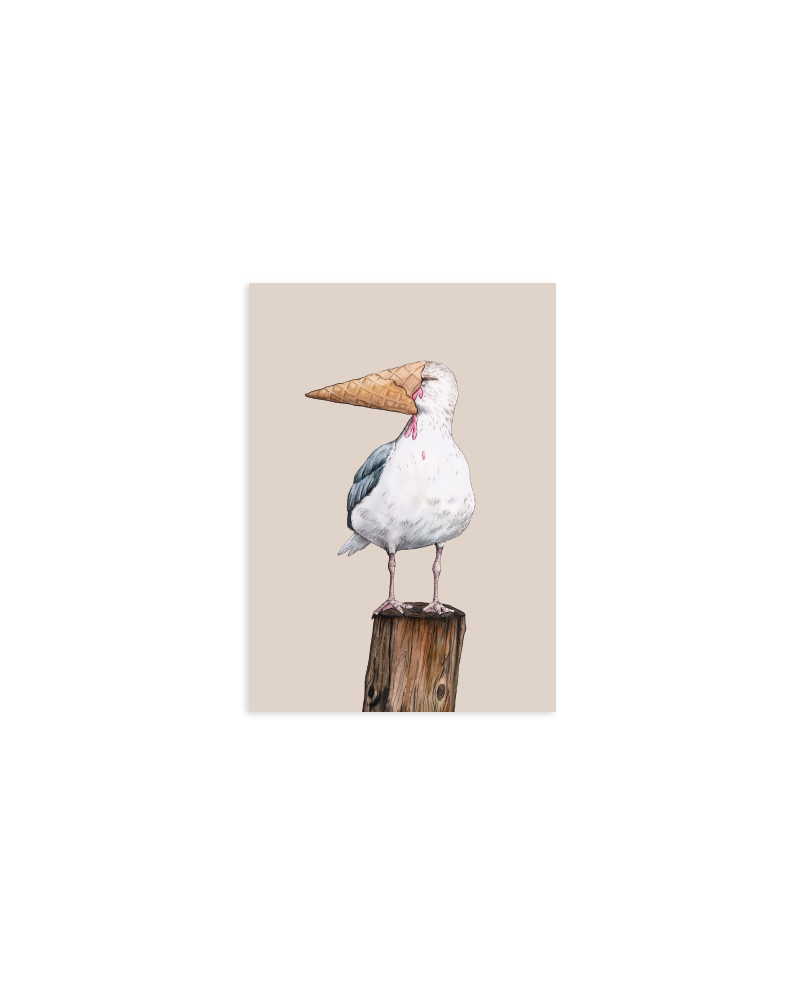 Eisvogel-Postkarte – Ein Hauch von Küstenzauber 🐦