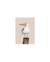 Eisvogel-Postkarte – Ein Hauch von Küstenzauber 🐦