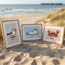 Limited Edition: 3er Pack Moin Drucke