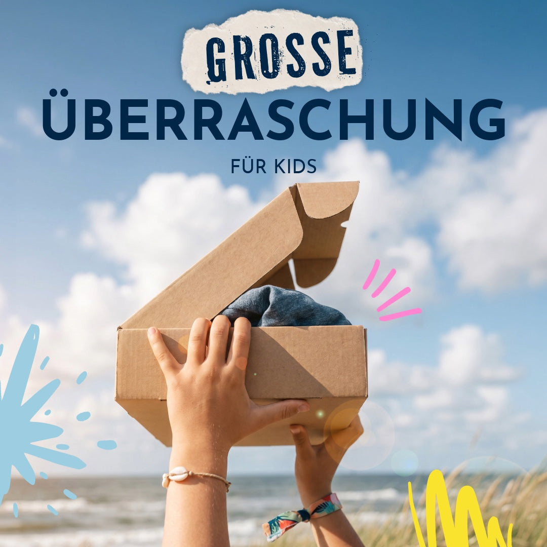 Kids' Box: Big Surprise