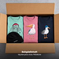 Mystery box kids PREMIUM