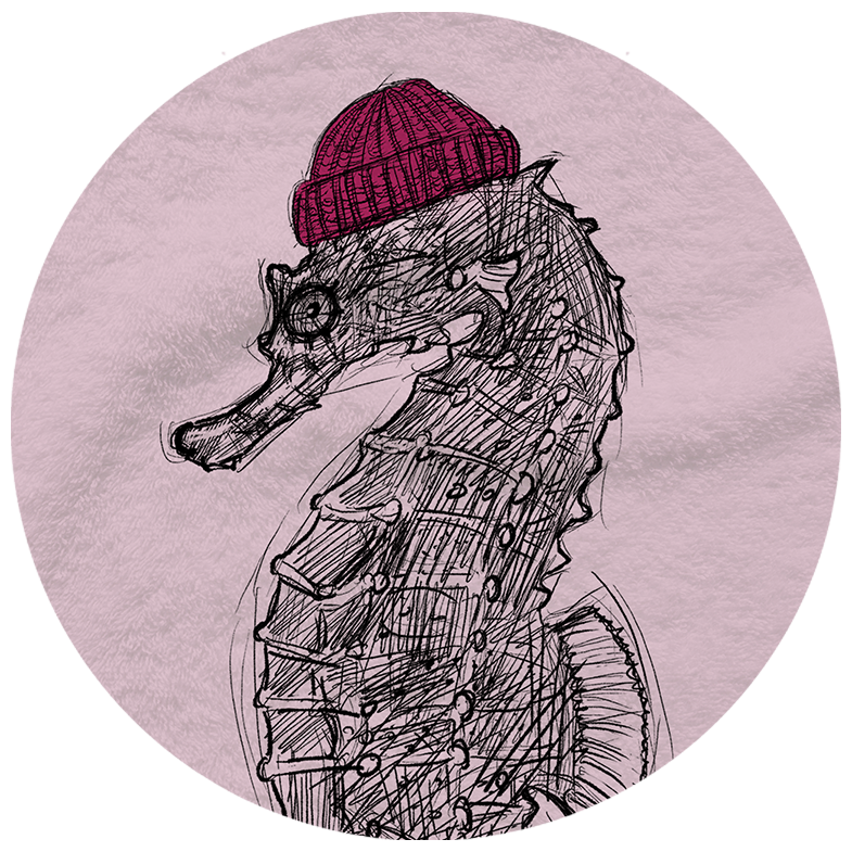 Seepferdchen Strandtuch – Dein Stück Küste