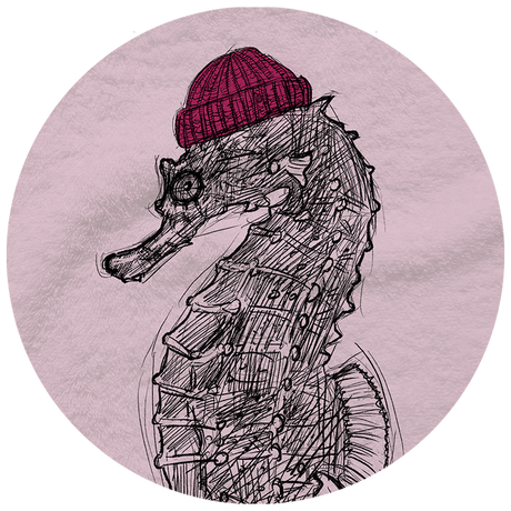 Seepferdchen Strandtuch – Dein Stück Küste