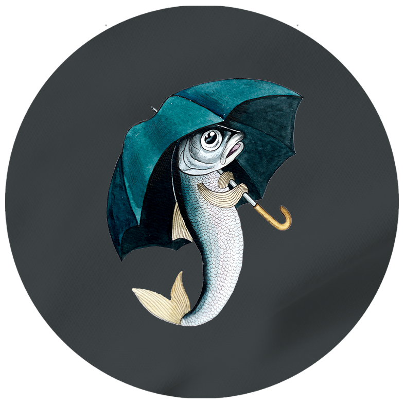 Schietwetter Sweater – Maritimer Unisex-Traum