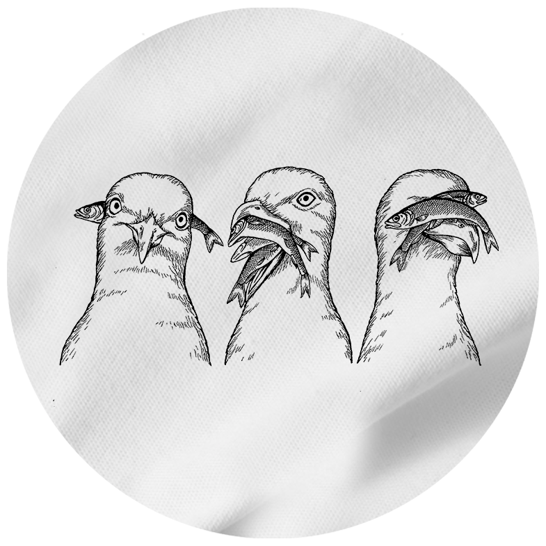 Möwen - Herren Shirt | 100% Bio-Baumwolle