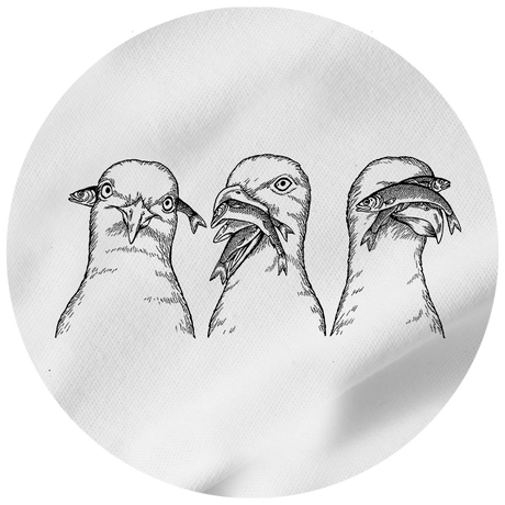 Möwen - Herren Shirt | 100% Bio-Baumwolle