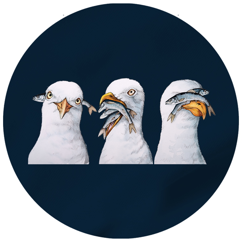 Möwen – Unisex Hoodie | 100% Bio-Baumwolle