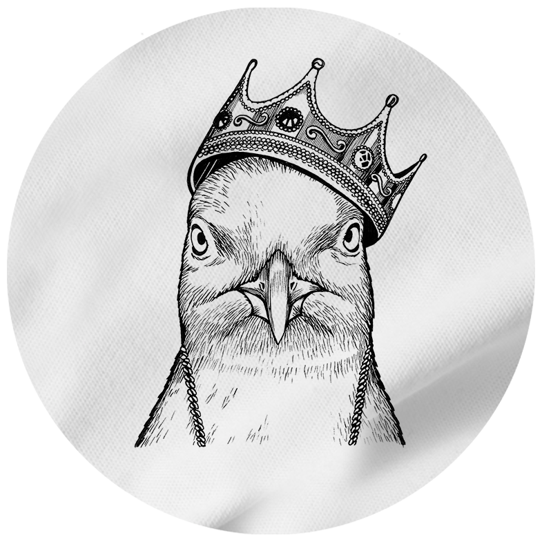 König der Möwen - Herren Shirt | 100% Bio-Baumwolle